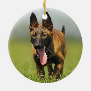 Belgian Shepherd Dog Ceramic Tree Decoration