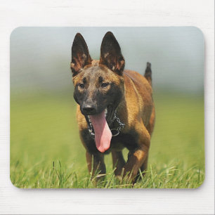 Belgian Shepherd Dog Mouse Mat