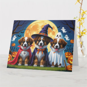 Belgian Shepherd Dogs Pumpkin Halloween Funny Card
