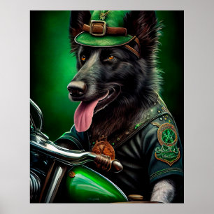 Belgian Shepherd driving bike St. Patrick's Day Poster