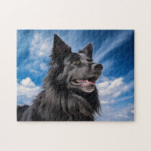 Belgian Shepherd Groenendael Jigsaw Puzzle