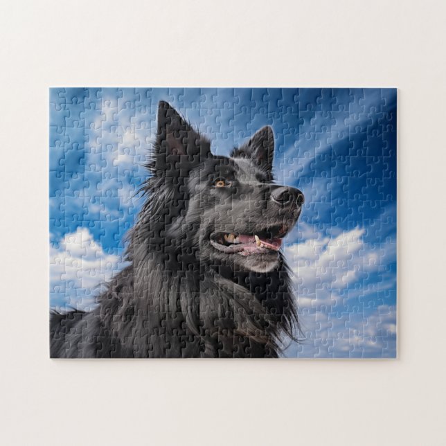 Belgian Shepherd Groenendael Jigsaw Puzzle (Horizontal)