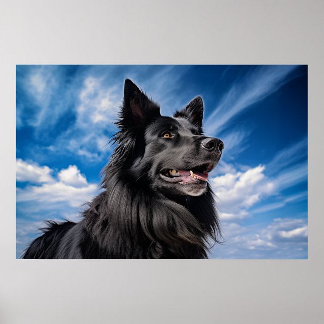 Belgian Shepherd Groenendael Poster (Front)