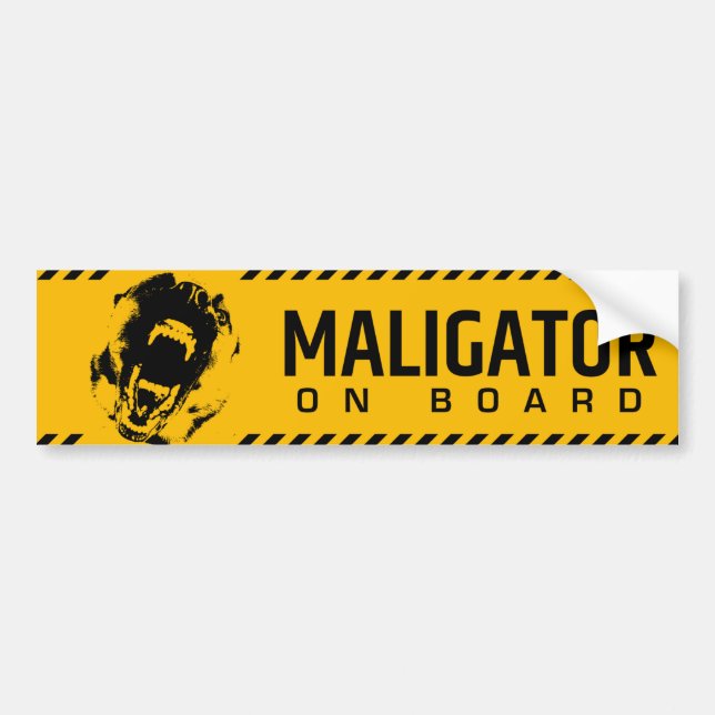Belgian shepherd - Malinois Bumper Sticker (Front)