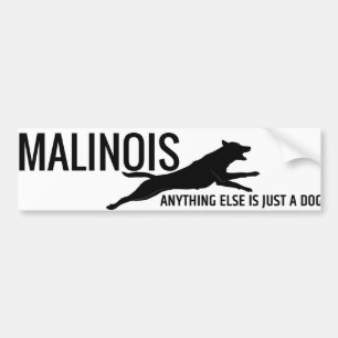 Belgian shepherd - Malinois Bumper Sticker