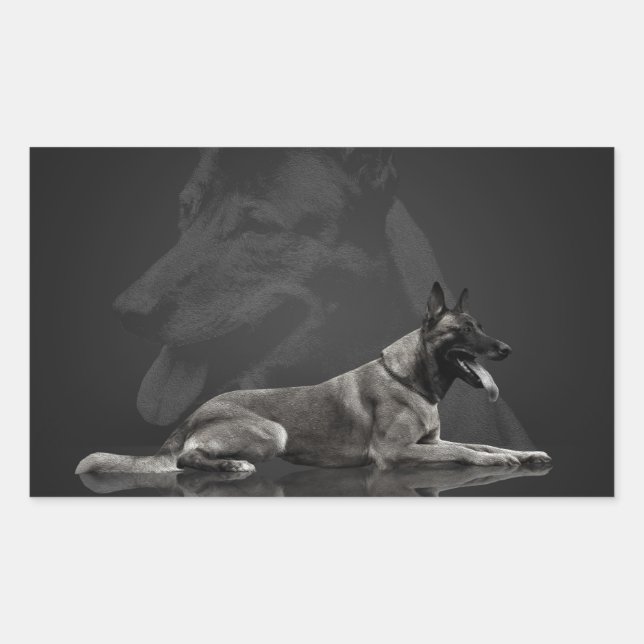 Belgian shepherd - Malinois Rectangular Sticker (Front)