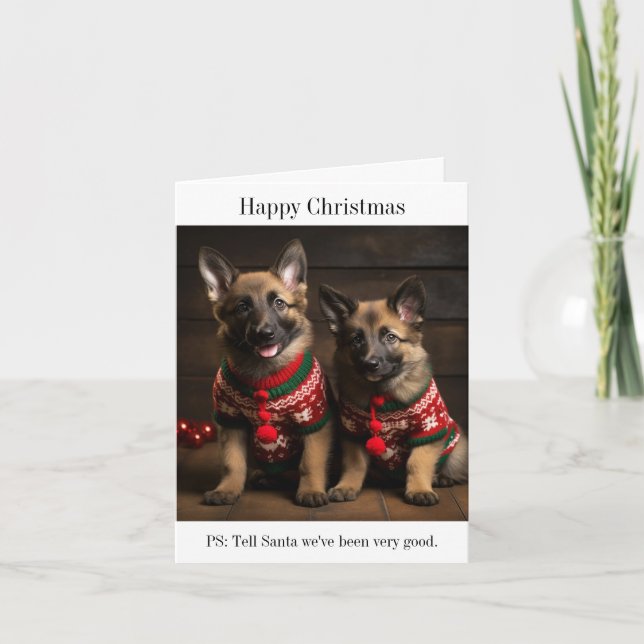 Belgian Shepherd Puppies Christmas Card (Front)