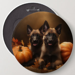 Belgian Shepherd Puppy Autumn Delight Pumpkin 6 Cm Round Badge