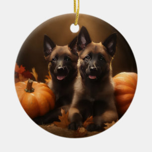 Belgian Shepherd Puppy Autumn Delight Pumpkin Ceramic Tree Decoration