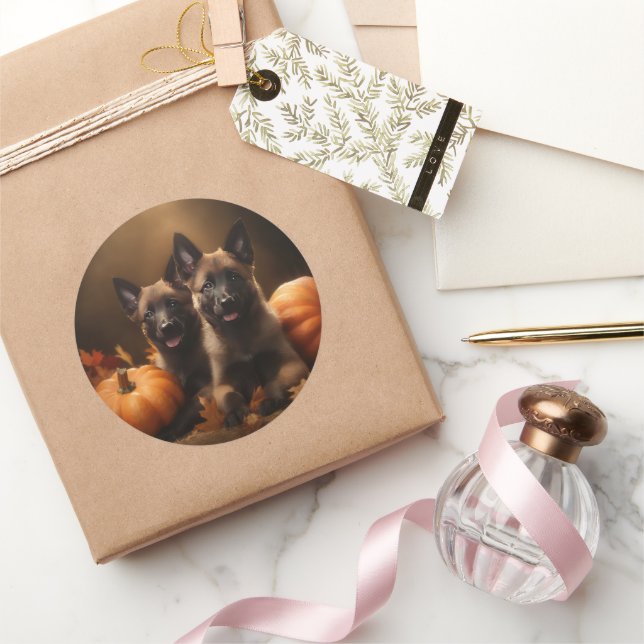 Belgian Shepherd Puppy Autumn Delight Pumpkin Classic Round Sticker (Gifting)