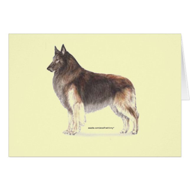 Belgian Tervuren (Front Horizontal)