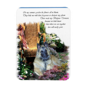 Belgian Tervuren Art Gifts Magnet