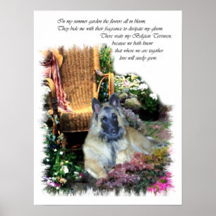 Belgian Tervuren Art Print