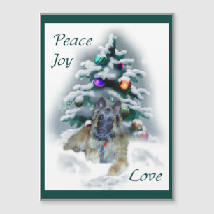 Belgian Tervuren Christmas 