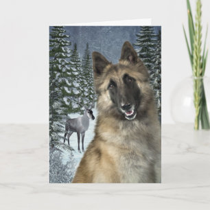 Belgian Tervuren Christmas Card
