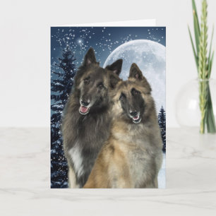 Belgian Tervuren Christmas Card