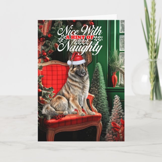 Belgian Tervuren Christmas Dog Naughty or Nice Holiday Card (Front)