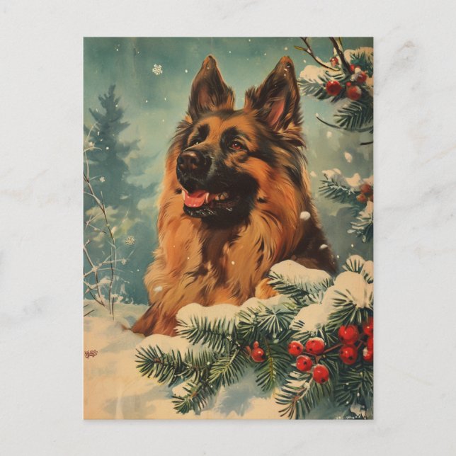 Belgian Tervuren Christmas Postcard (Front)