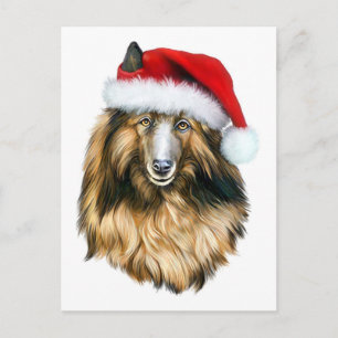 Belgian Tervuren Christmas Santa Holiday Postcard