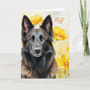 Belgian Tervuren Dog Golden Poppies Get Well Card