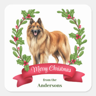 Belgian Tervuren Dog Holly Banner Christmas Square Sticker