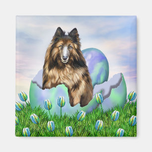 Belgian Tervuren Easter Magnet