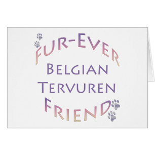 Belgian Tervuren Furever