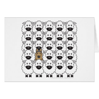Belgian Tervuren in the Sheep