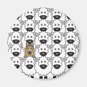 Belgian Tervuren in the Sheep Magnet