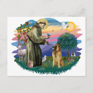 Belgian Tervuren Postcard