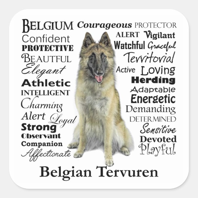 Belgian Tervuren Stickers (Front)