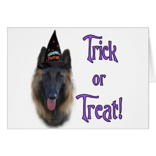 Belgian Tervuren Trick