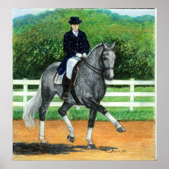 Belgian Warmblood Dressage Horse Portrait Poster (Front)