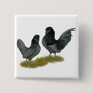 Belgian Watermaal Bantams 15 Cm Square Badge