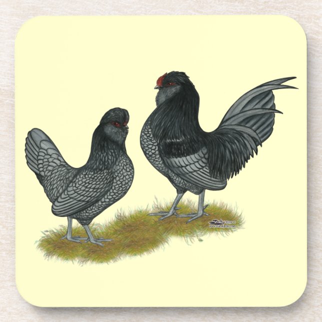 Belgian Watermaal Bantams Coaster (Front)
