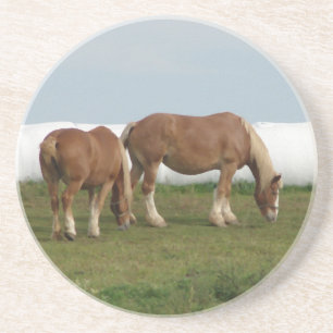 Belgians Coaster