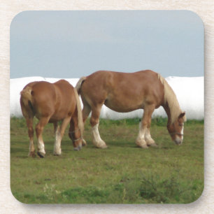 Belgians Coaster