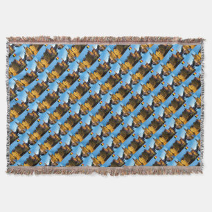 Belgique Medieval Bruges - Pro Photo Throw Blanket