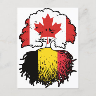 Belgium Belgian Canadian Canada Tree Roots Flag Postcard