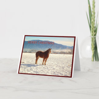 Belgium Draught   Horse Christmas Greeting Card
