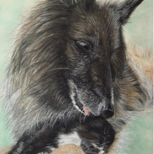 belgium shepherd dog cuddling black kitten jigsaw puzzle