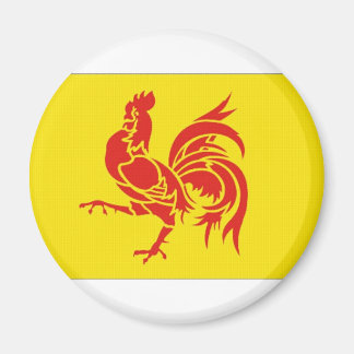 Belgium Walloon Region Flag Magnet