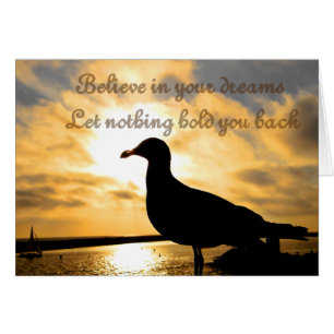 Believe,Any Occasions_