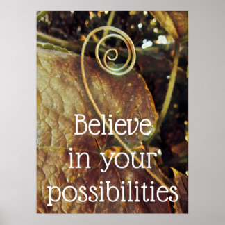 Believe in Your Possibilities Poster
