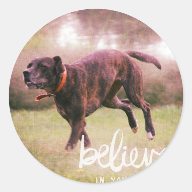 Believe in YourSelf Dog Classic Round Sticker (Front)