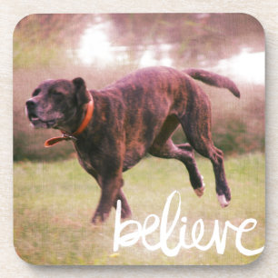 Believe in YourSelf Dog Coaster