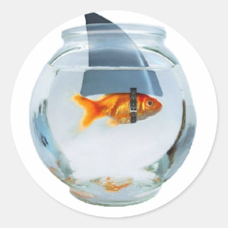 Believe in yourself fish classic round sticker