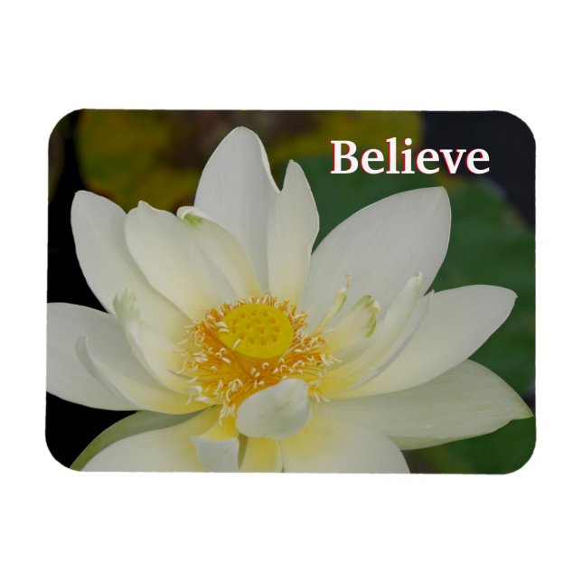 Believe Lotus Magnet (Horizontal)