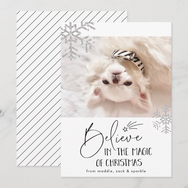 Believe | Pet Photo Holiday Card (Front/Back)