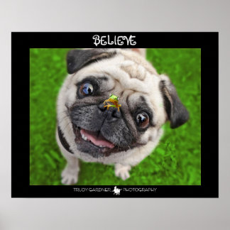 Believe Pug Frog Poster